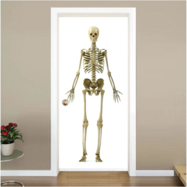 Skelet deur sticker
