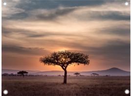Zonsondergang Tanzania