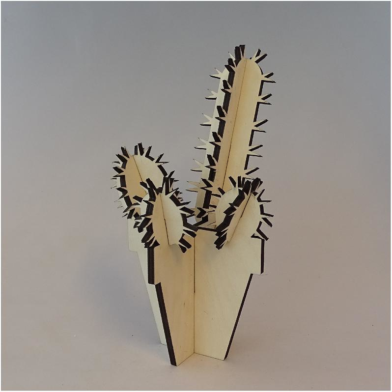 Sociaal Refrein overschot Houten cactus: Mannia | Bloemen van hout | StickerMania.nl