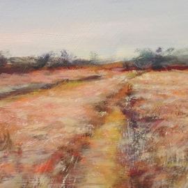 Stroese Heide