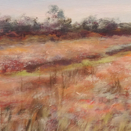 Stroese Heide