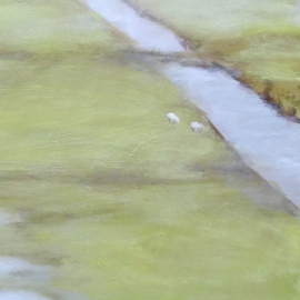 Regen in de polder.
