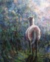 Schaap in de zomeravond