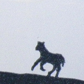 Over de dijk