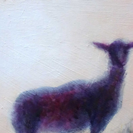Schaap in de avondzon op het duin