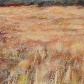 Stroese Heide