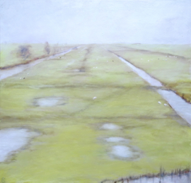 Regen in de polder.