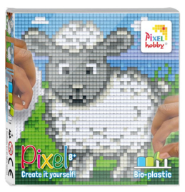 Pixel set
