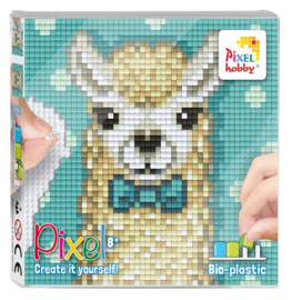 Pixel set