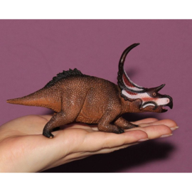 Diabloceratops CO88593