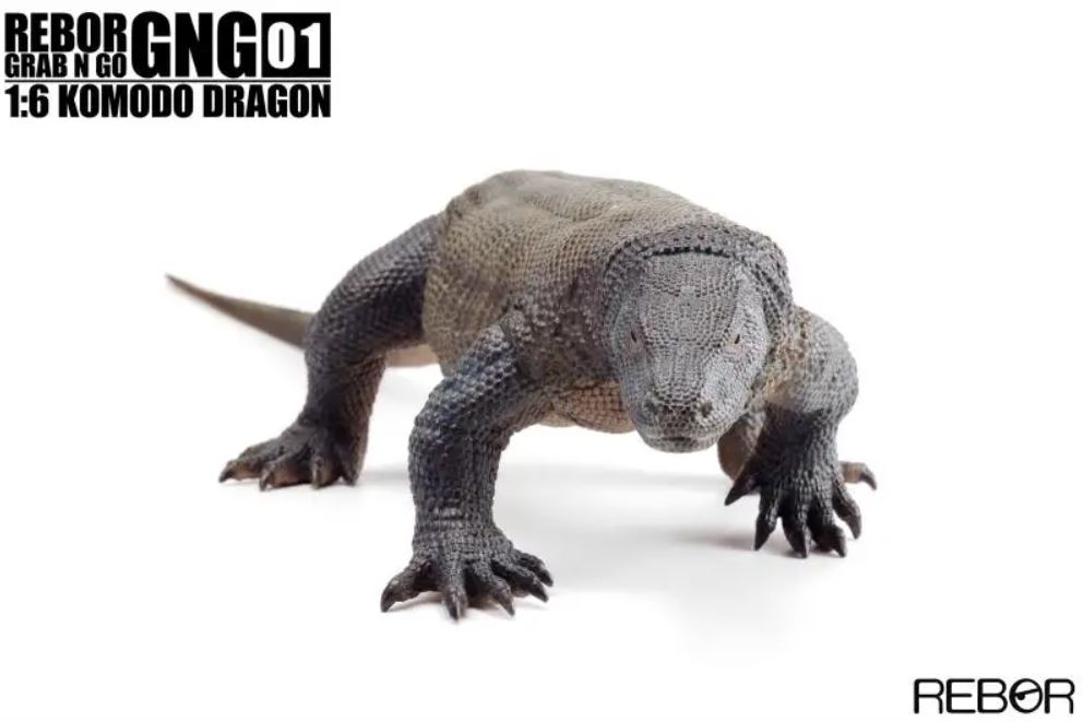 REBOR komodo varaan