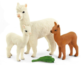Alpaca familie