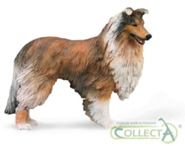 Collie Collecta 88997