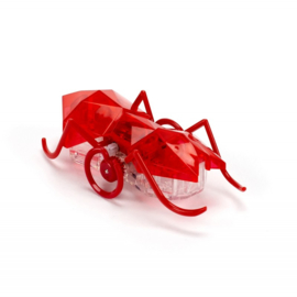 Hexbug ANT