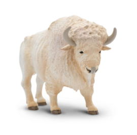 Witte buffalo SA