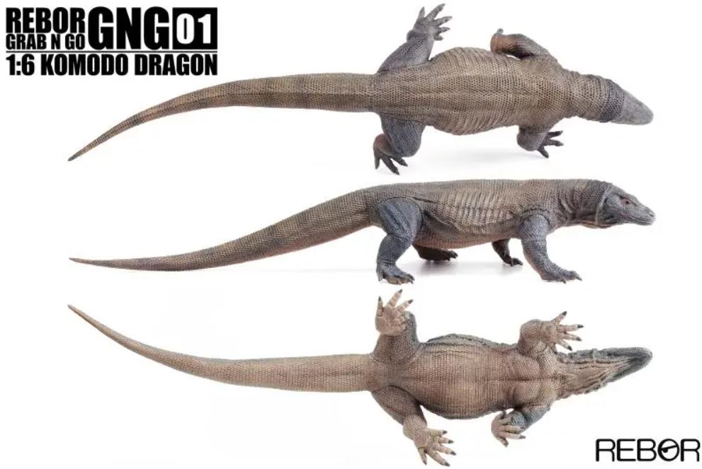 REBOR komodo varaan