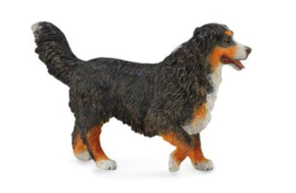 Collecta Berner Sennenhond 88801