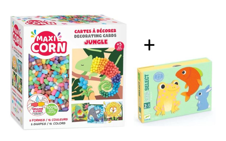 17. Maxi mais + Little secret kaartspel