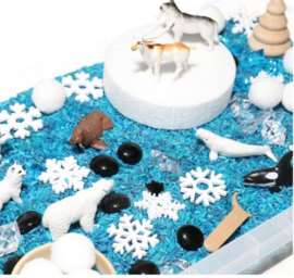 Sensory box winter rijst