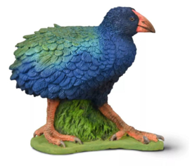 Takahe CO80041