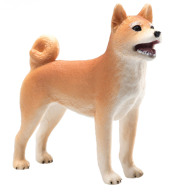 MOJO Shiba inu