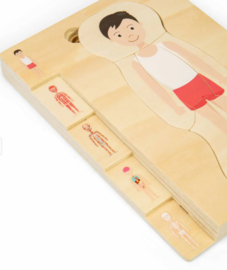 Anatomie puzzel jongen
