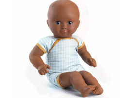 Pomea Mimosa DJ07876