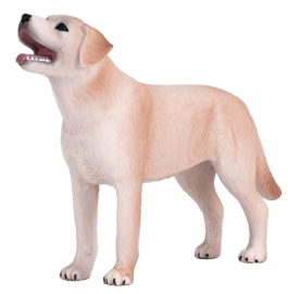 MOJO labrador