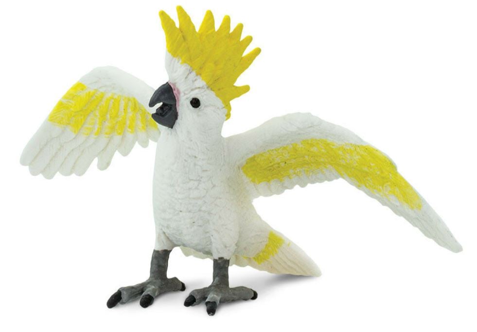 Kaketoe SA263829