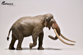 EOfauna Straight-tusked elephant