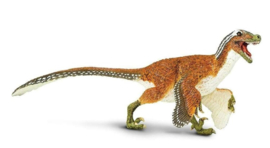 velociraptor gevederd SA