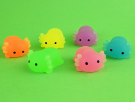 axolotl squeeze