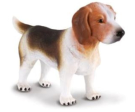 Beagle Collecta 88177