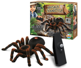 Tarantula R/C