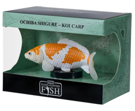 MOJO Ochiba Shigure Koi goud