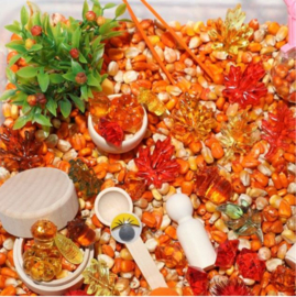 Sensory box herfst mais