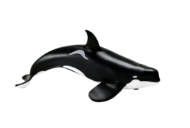orka SA