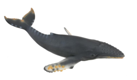 Bultrug walvis Collecta 88347