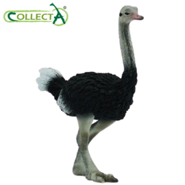 Struisvogel Collecta 88459