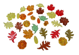 Herfstbladeren (30)