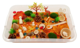 Sensory box herfst rijst