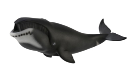 Groenlandse walvis Collecta 88652