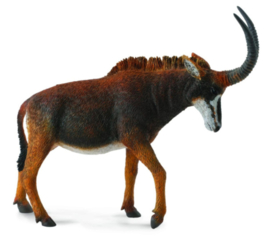 Sabelantilope Collecta 88578