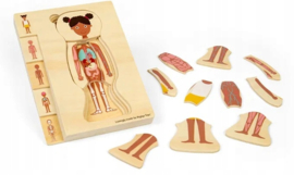 Anatomie puzzel meisje