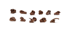Tube schedels dinos S687404