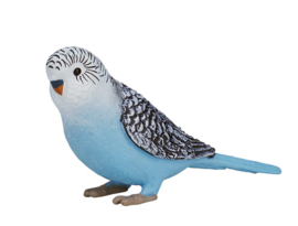 MOJO grasparkiet blauw