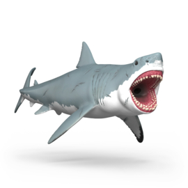 Megalodon