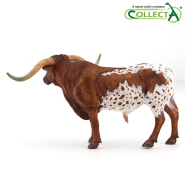 Texas longhorn stier CO88925