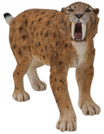 Smilodon CO88715