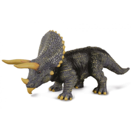 Triceratops CO88037